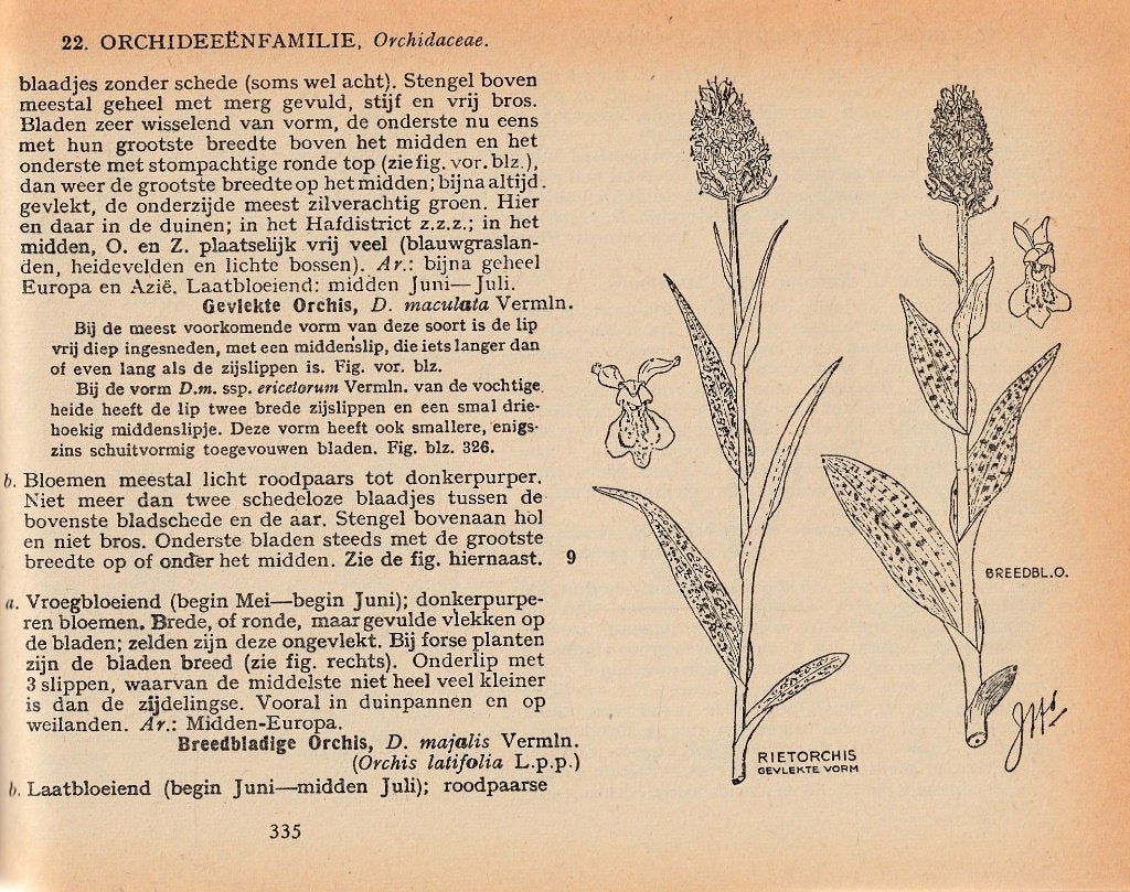 Geïllustreerde Flora van Nederland Heimans, Heinsius Thijsse, Ophalen of Verzenden, Gelezen, Bloemen, Planten en Bomen