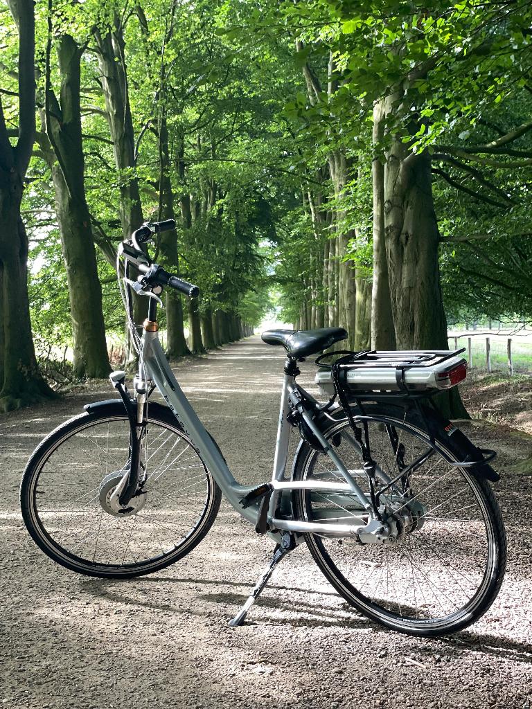 bicycle, Fietsen en Brommers, Fietsen | Dames | Damesfietsen, Gebruikt, Batavus, 50 tot 53 cm, Ophalen