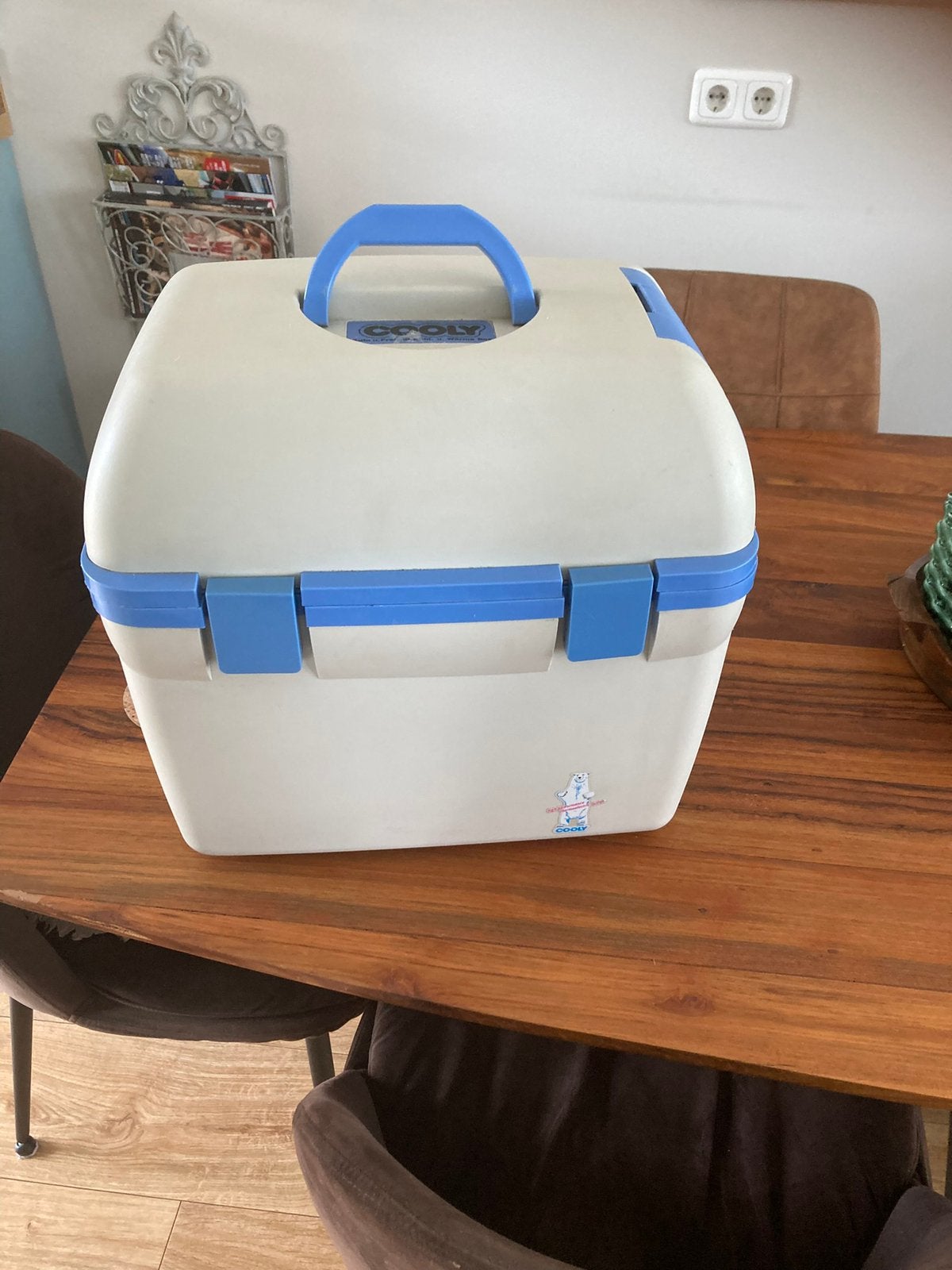 Waeco Koelbox - Ideaal voor onderweg!, Ophalen of Verzenden, Gebruikt, Koelbox, Elektrisch