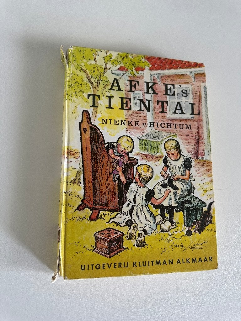 Boek Afkes Tiental, Boeken, Ophalen of Verzenden, Gelezen, Nienke van Hichtum