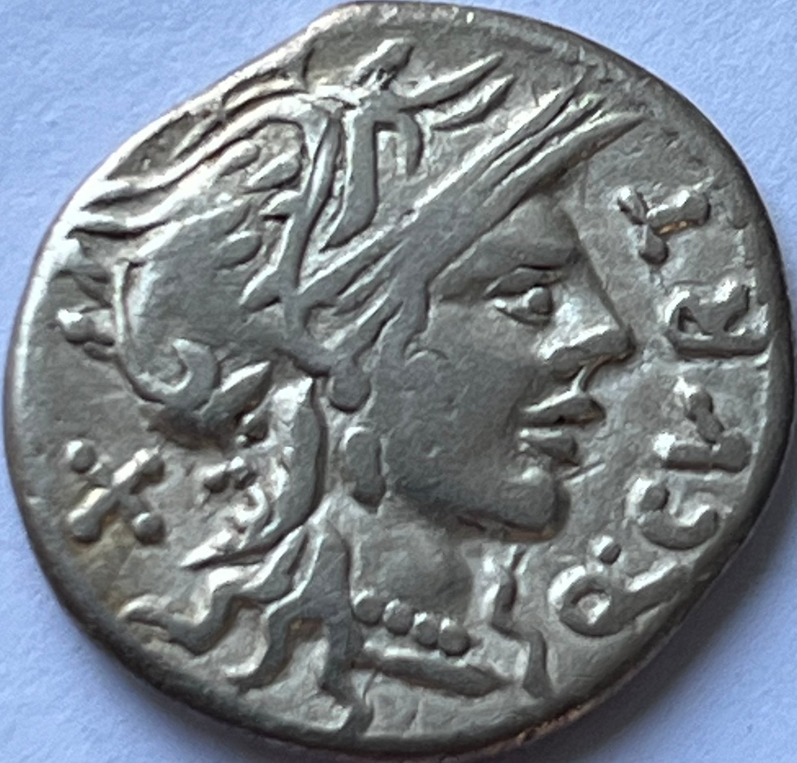 Romeinse Rijk zeldzame denarius Quintus Curtius, Ophalen of Verzenden, Overige landen, Losse munt, Zilver