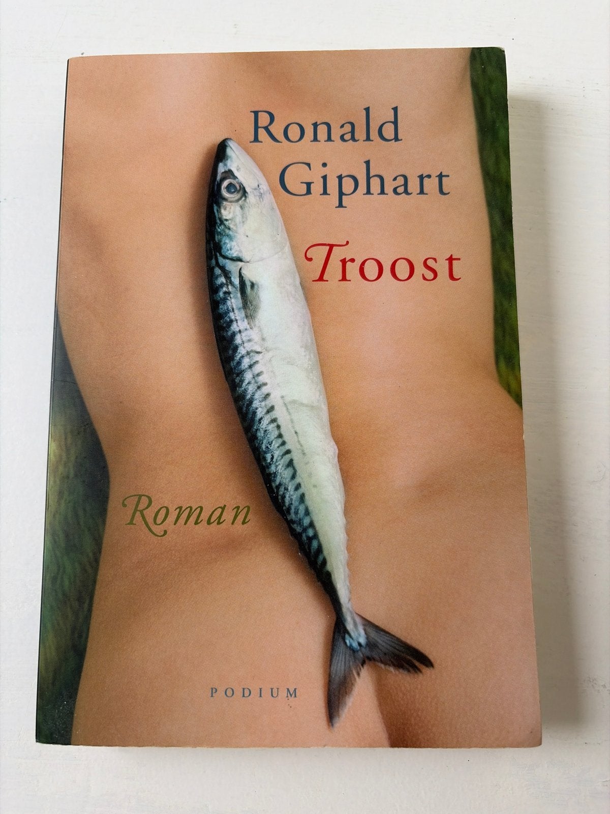 Ronald Giphart - Troost (Roman), Boeken, Ophalen of Verzenden, Zo goed als nieuw, Nederland