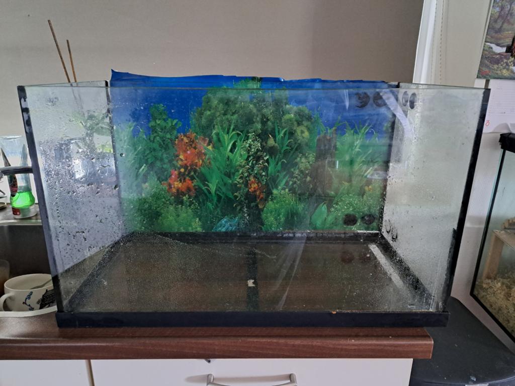 Juwel aquarium., Ophalen, Gebruikt, Juwel, Inclusief deksel