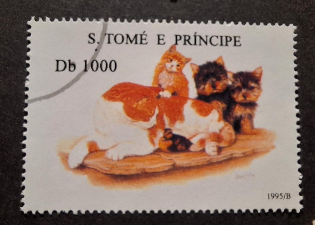 St.tome katten, Ophalen of Verzenden, Dier of Natuur