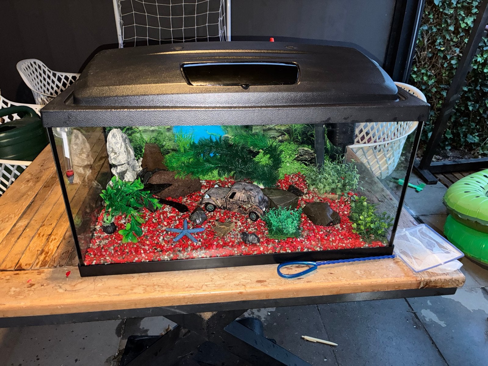 Aquarium, Ophalen, Verwarming, Gebruikt, Leeg aquarium
