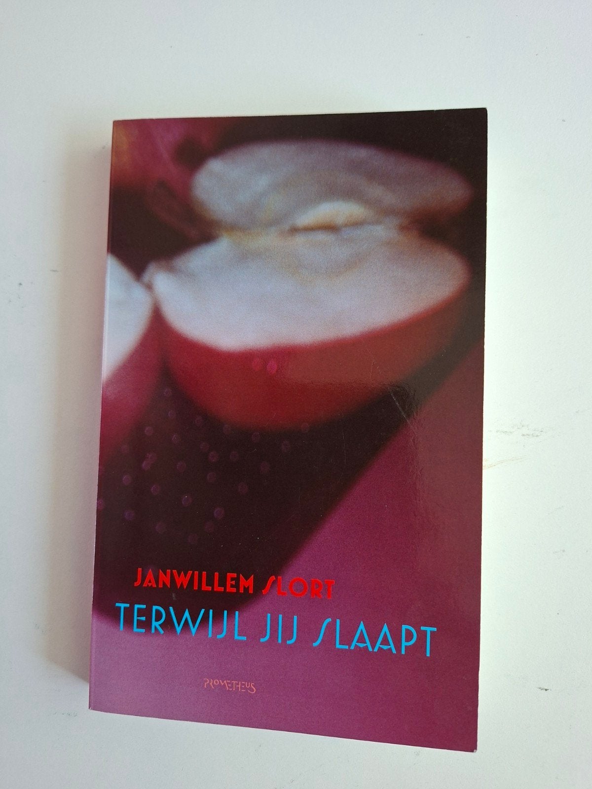 Janwillem Slort - Terwijl jij slaapt, Boeken, Ophalen of Verzenden, Zo goed als nieuw, Janwillem Slort