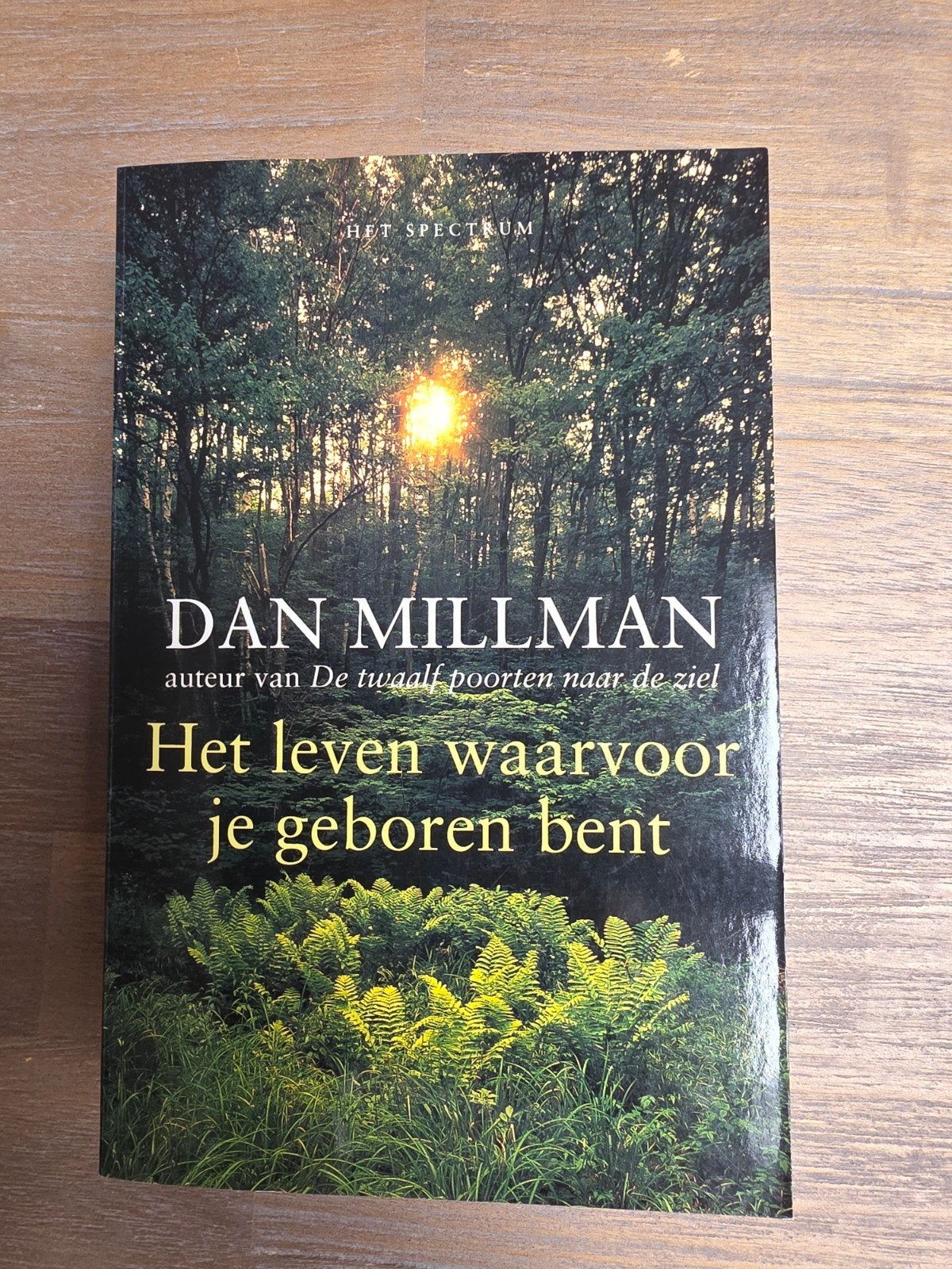 Dan Millman - Het leven waarvoor je geboren bent, Boeken, Ophalen of Verzenden, Ontwikkelingspsychologie, Dan Millman