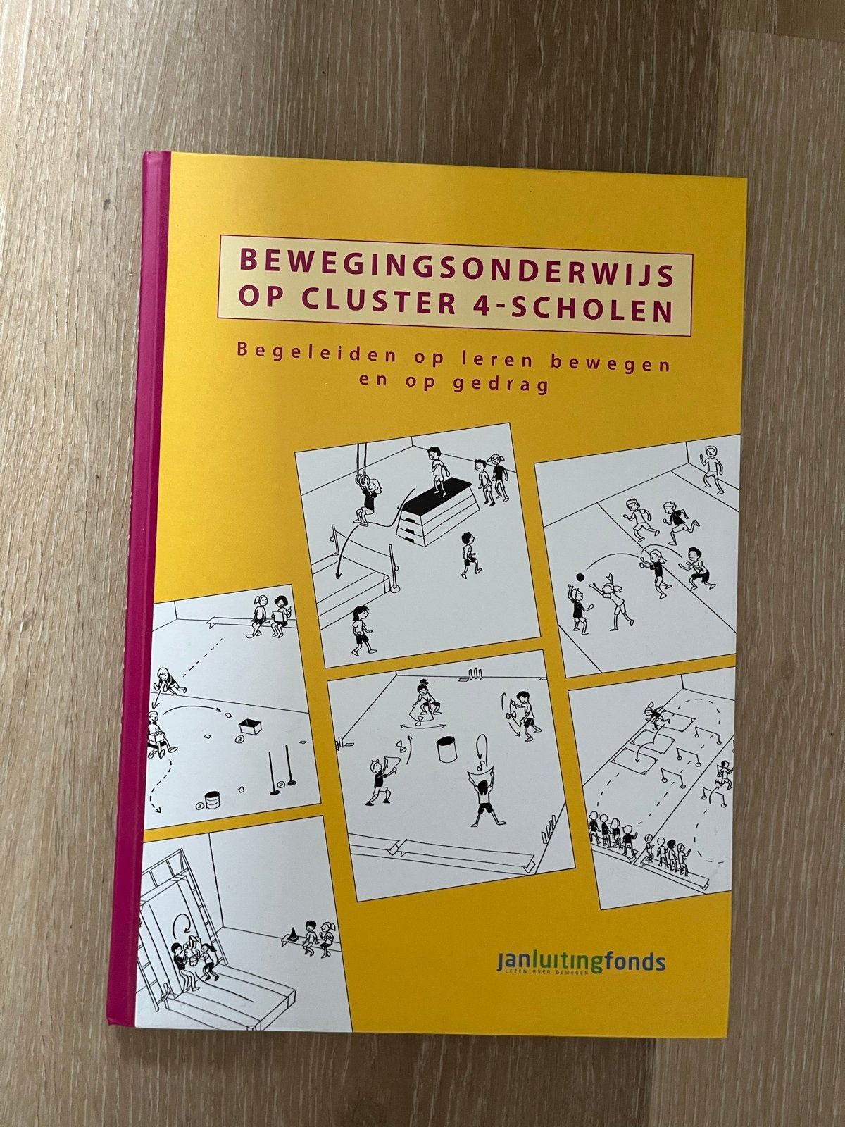 Bewegingsonderwijs op Cluster 4-scholen, Ophalen of Verzenden, Gelezen, Overige niveaus, Overige vakken