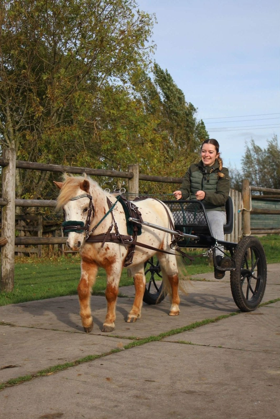 Verzorger gezocht!, Ophalen of Verzenden