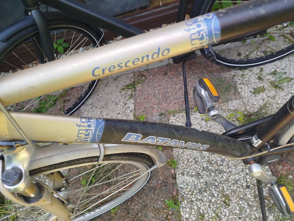 Batavus Fiets, Fietsen en Brommers, Ophalen, Gebruikt, Versnellingen, Batavus