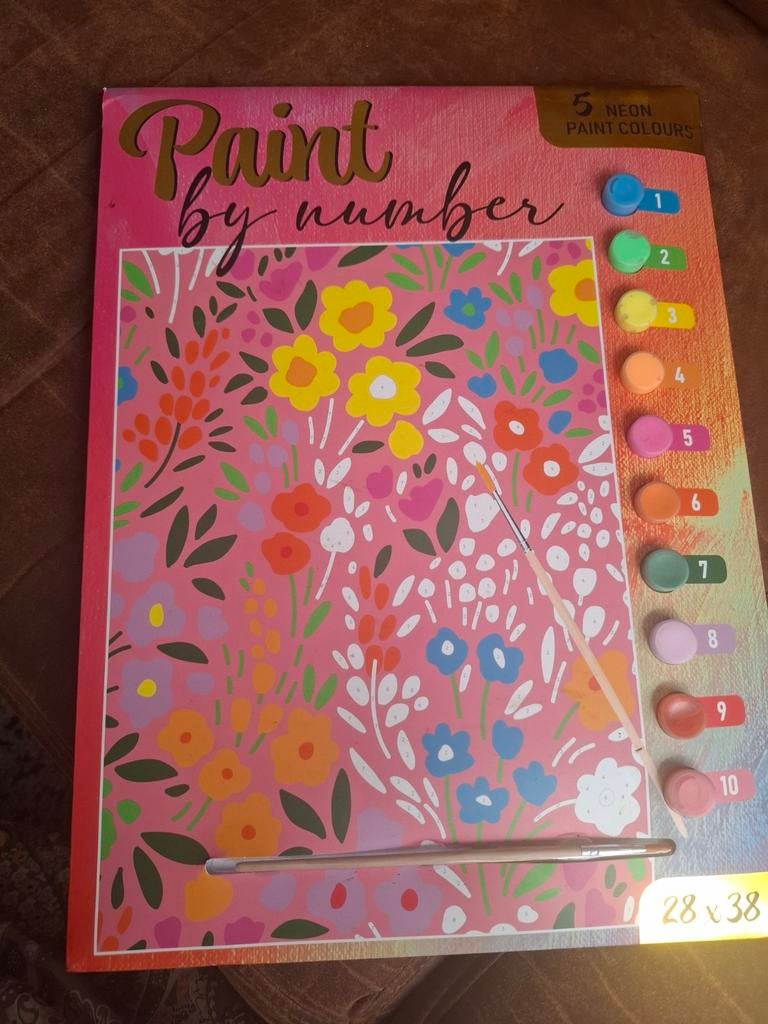 Paint by number, Ophalen of Verzenden, Nieuw