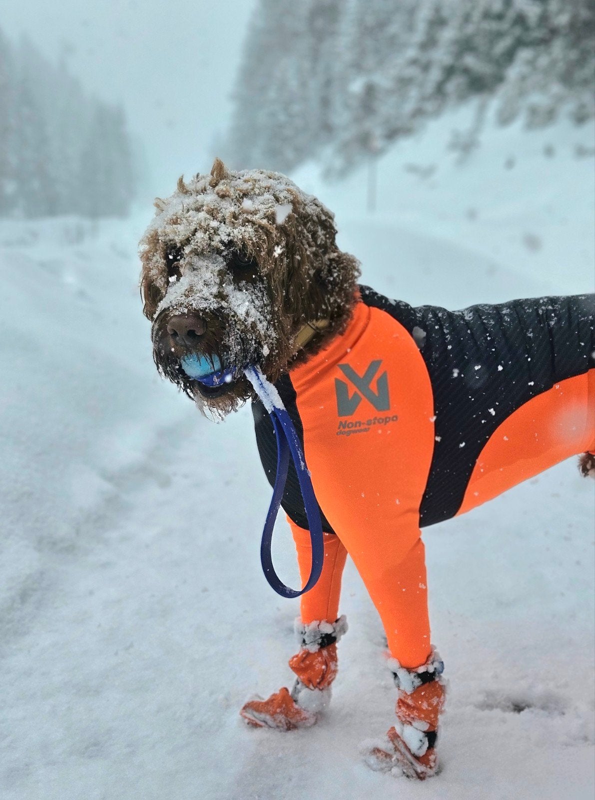 Hondenprotectie pak, merk Non-stop Dogwear, maat M, Dieren en Toebehoren, Ophalen of Verzenden