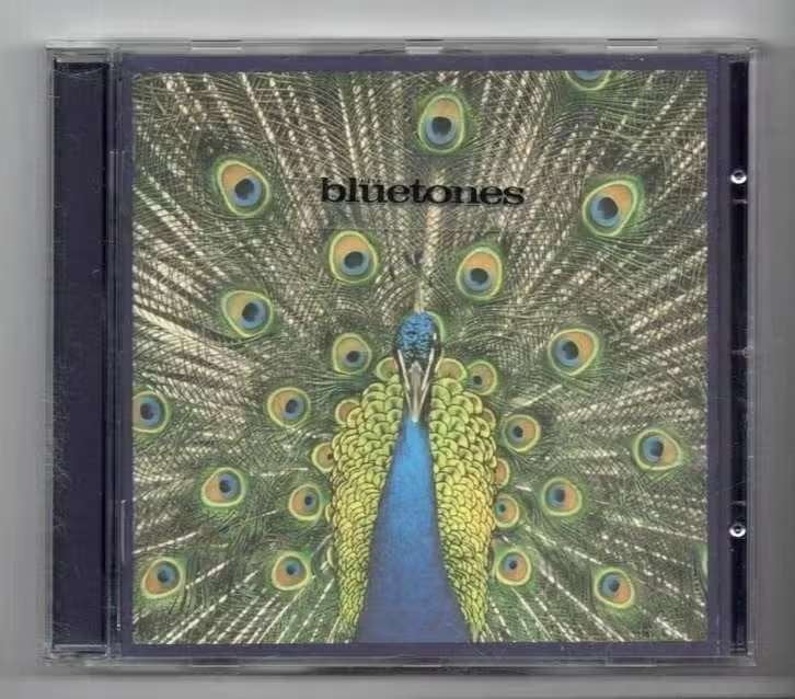 CD The Bluetones – Expecting To Fly, Ophalen of Verzenden, Zo goed als nieuw, Poprock, Album