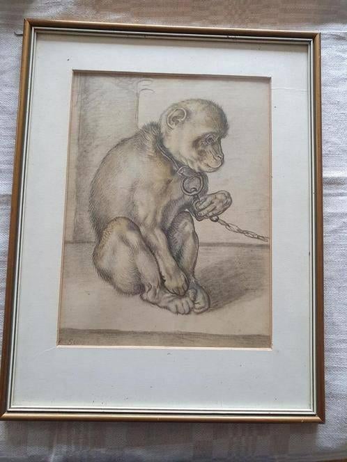 Prent van een aapje aan een ketting Roelandt Saverij, Antiek en Kunst, Kunst | Litho's en Zeefdrukken, Ophalen
