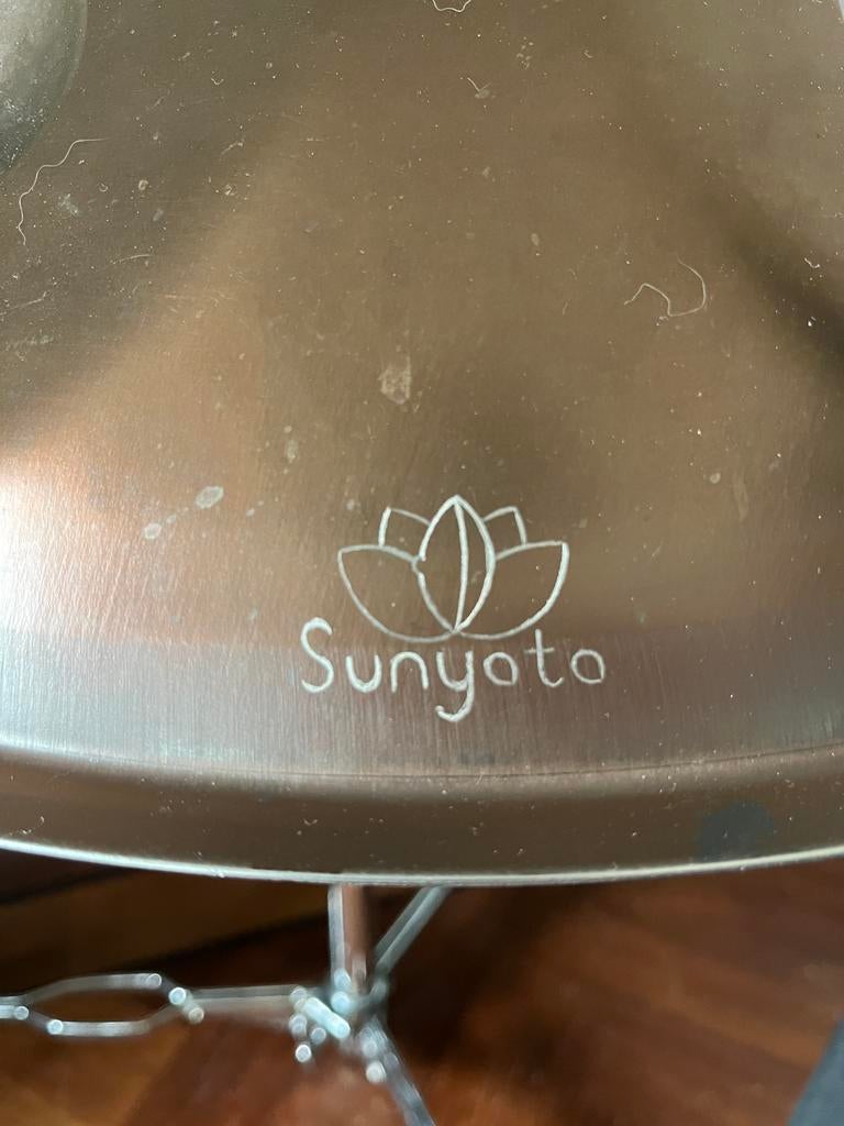 Sunyata handpan stainless steel A2 Hijaz, 11 tonen, Ophalen of Verzenden, Gebruikt, Melodische percussie