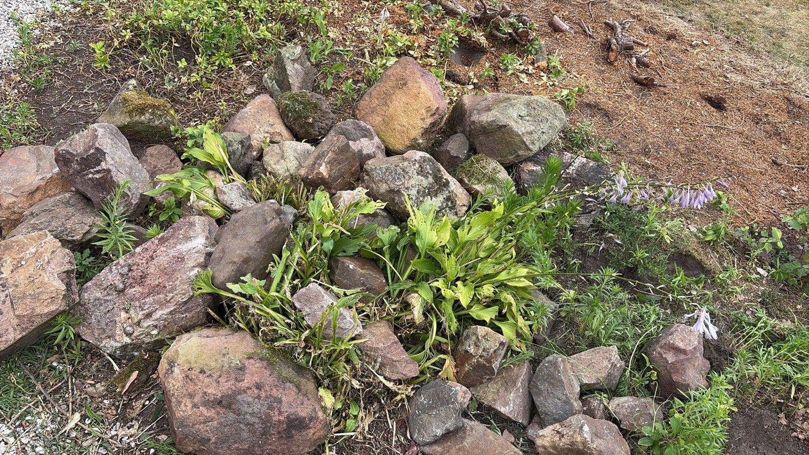 Natuurlijke rotsen en keien voor tuin of landschap, Ophalen, Overige materialen, Gebruikt, Kei