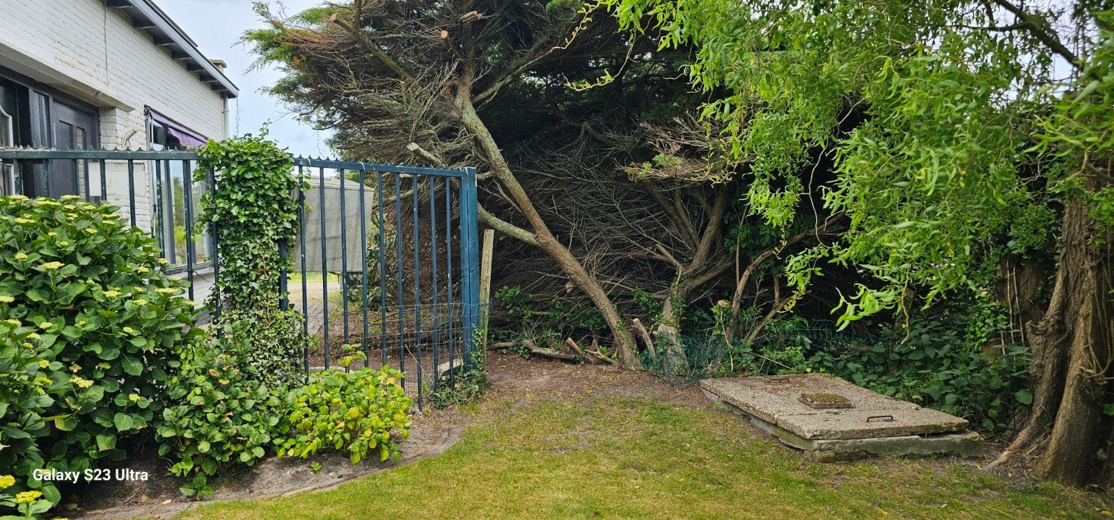Gezocht: Hekwerk 5m x 2m groen met punt, inclusief plaatsing, Ophalen of Verzenden, IJzer
