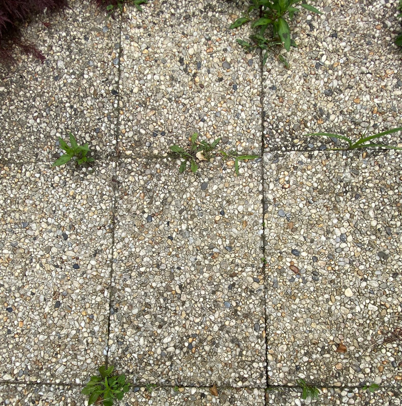 GRATİS Tuintegels Mix, Ophalen, Gebruikt, Beton, Terrastegels