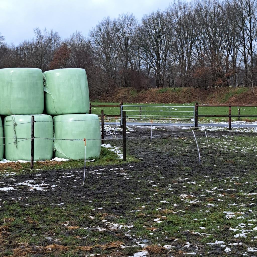 Grote ronde balen mooi kuilvoer / hooi, Dieren en Toebehoren, Dierenvoeding, Ophalen, Vee