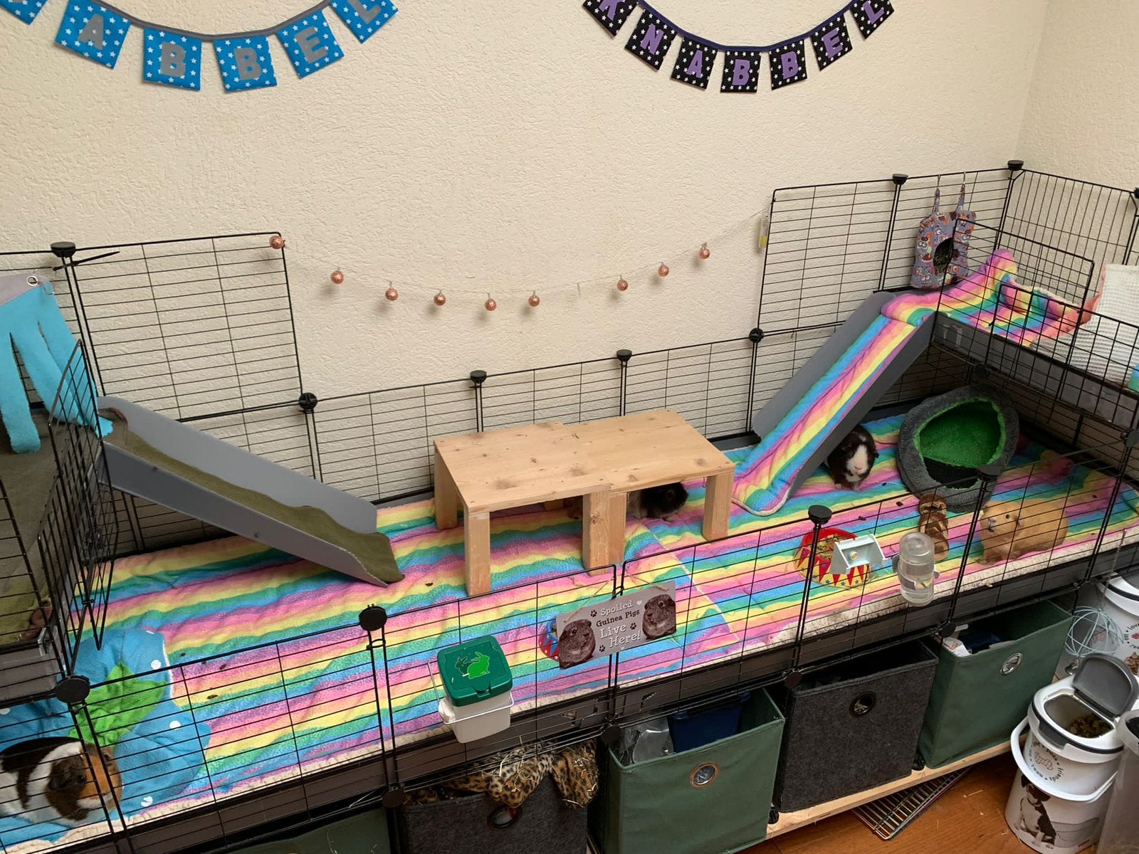 C&C Kavee, Draadkubus Caviakooi, Ophalen, Kooi, 60 tot 90 cm, Cavia