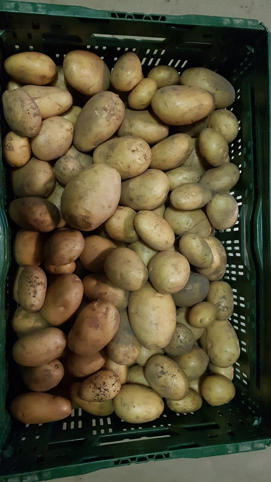 Nieuwe aardappels van de boer te koop, Ophalen
