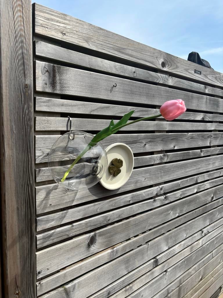 Serax glazen bolvaas voor aan de muur - binnen/buiten, Overige kleuren, Nieuw, Ophalen of Verzenden, Glas