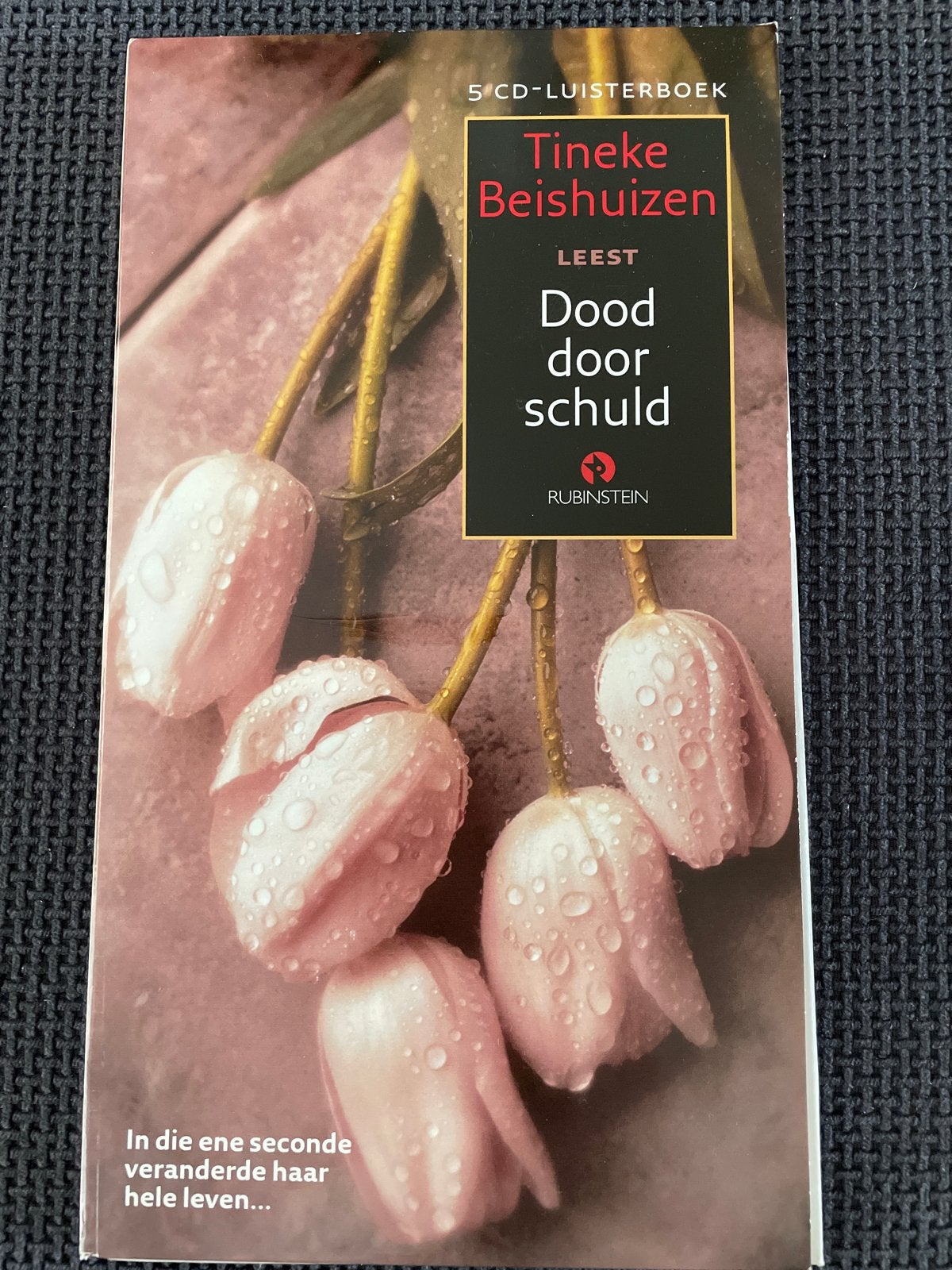 Luisterboek: Dood door schuld - Tineke Beishuizen (5 CD's), Ophalen of Verzenden, Cd, Volwassene