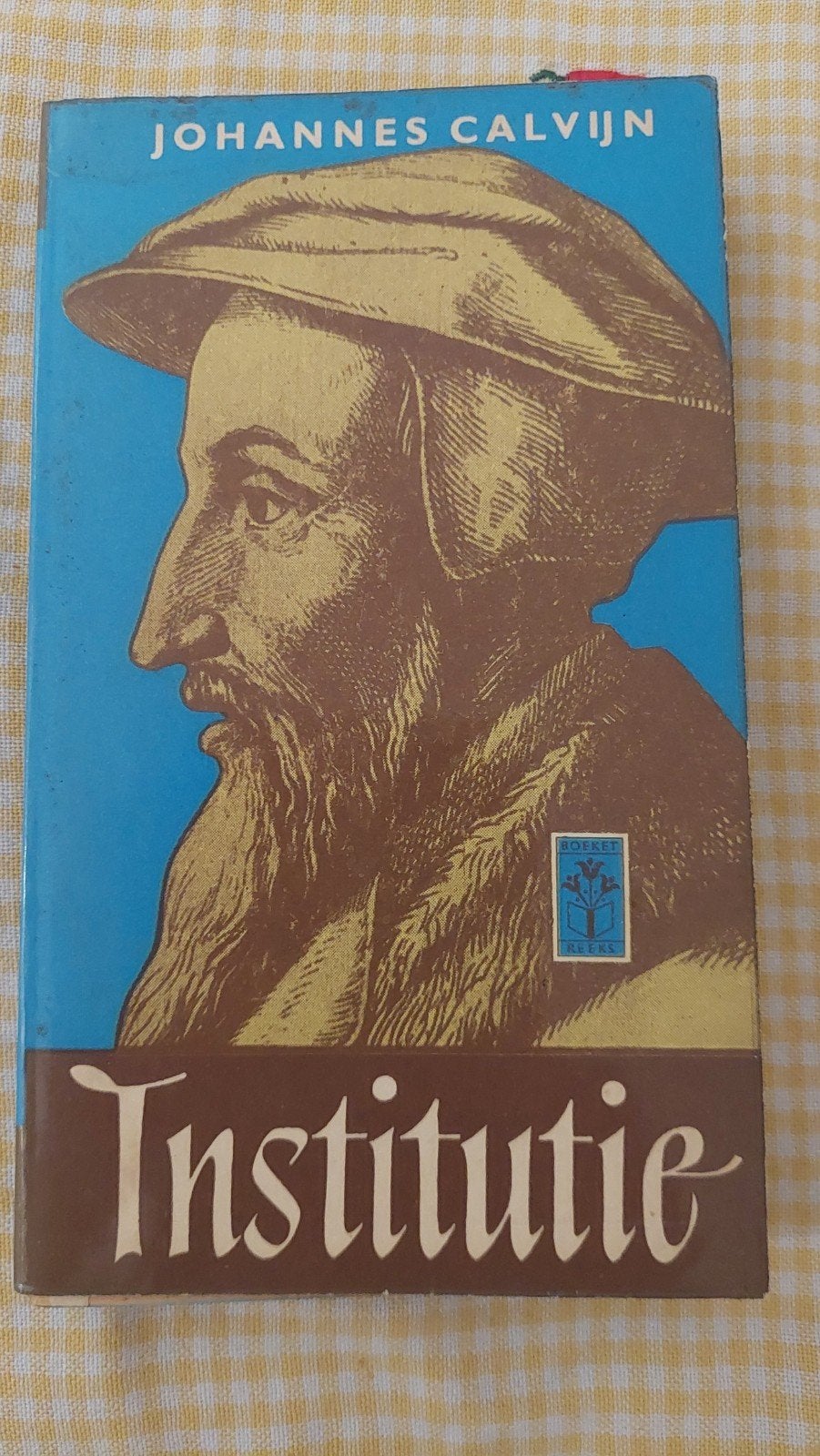 Johannes Calvijn - Institutie (Boek), Ophalen of Verzenden, Gelezen