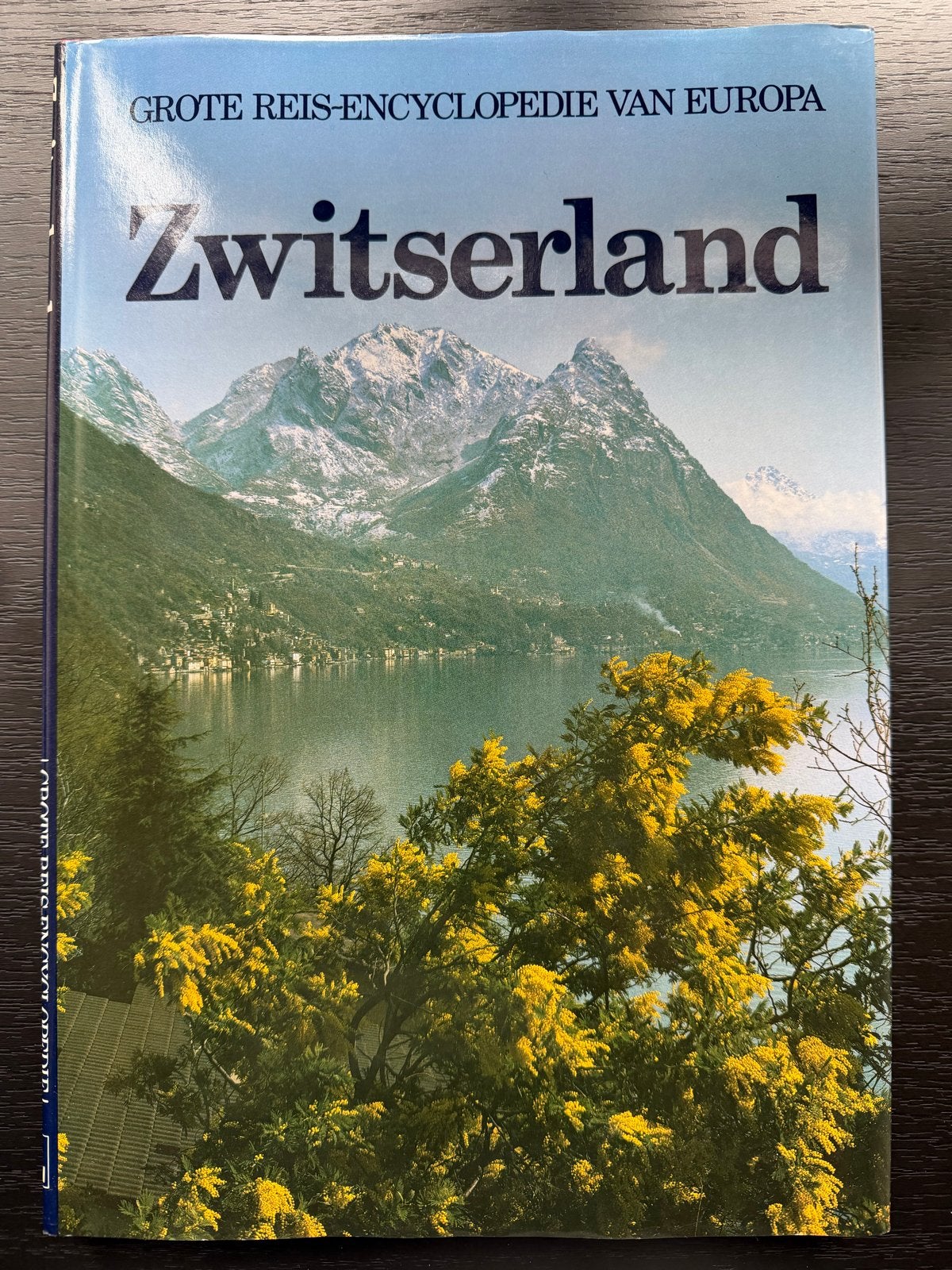 Grote Reis-Encyclopedie van Europa: Zwitserland, Boeken, Europa, Ophalen of Verzenden, Reisgids of -boek, Gelezen