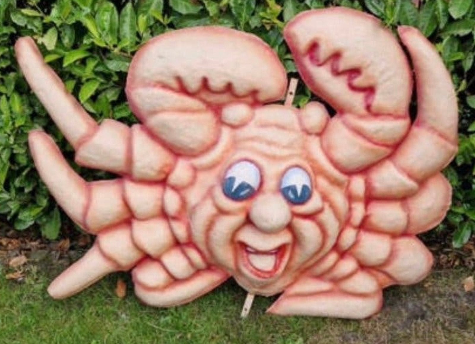 BERGEN OP ZOOM,SUPERMOOIE GRÒTE  KRAB,VASTENÀVEND ,LEUTIG!!, Ophalen, Zo goed als nieuw, Overige maten