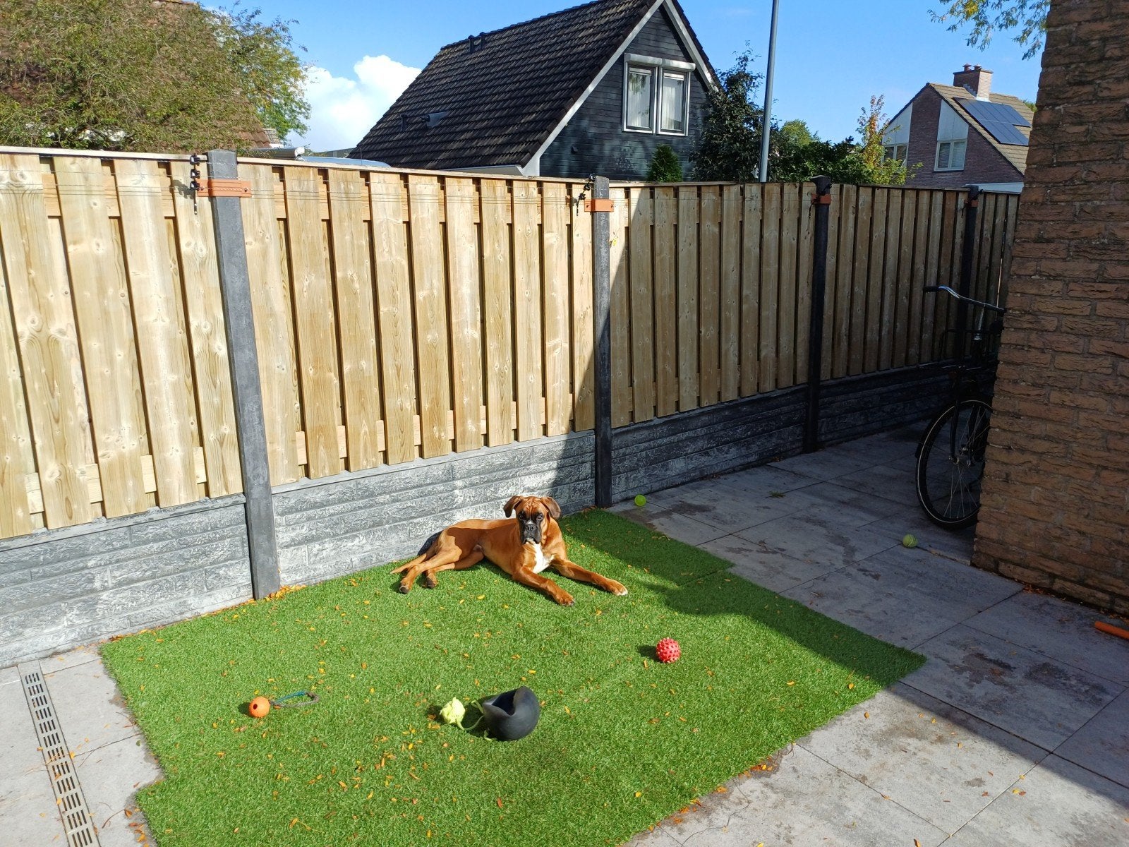 Beton-houten schutting met poort, Tuin en Terras, Ophalen, Gebruikt, 200 cm of meer, 200 cm of meer