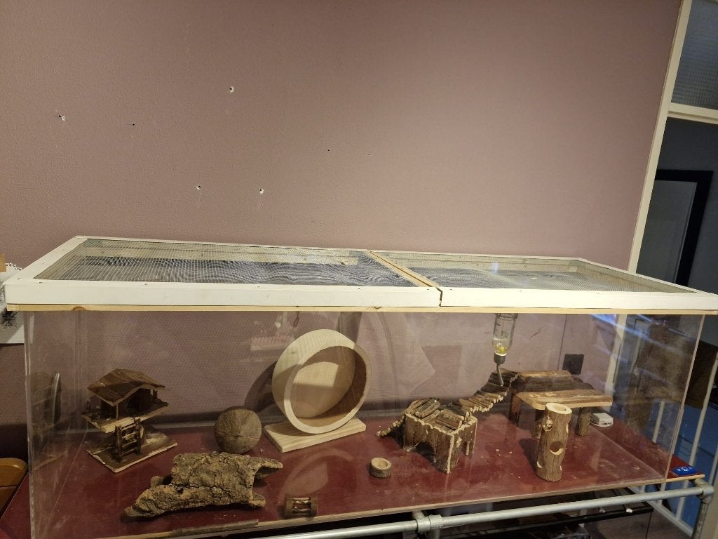 Plexiglas terrarium  53 h  50 b    160 l, Ophalen, Gebruikt, Terrarium of Paludarium