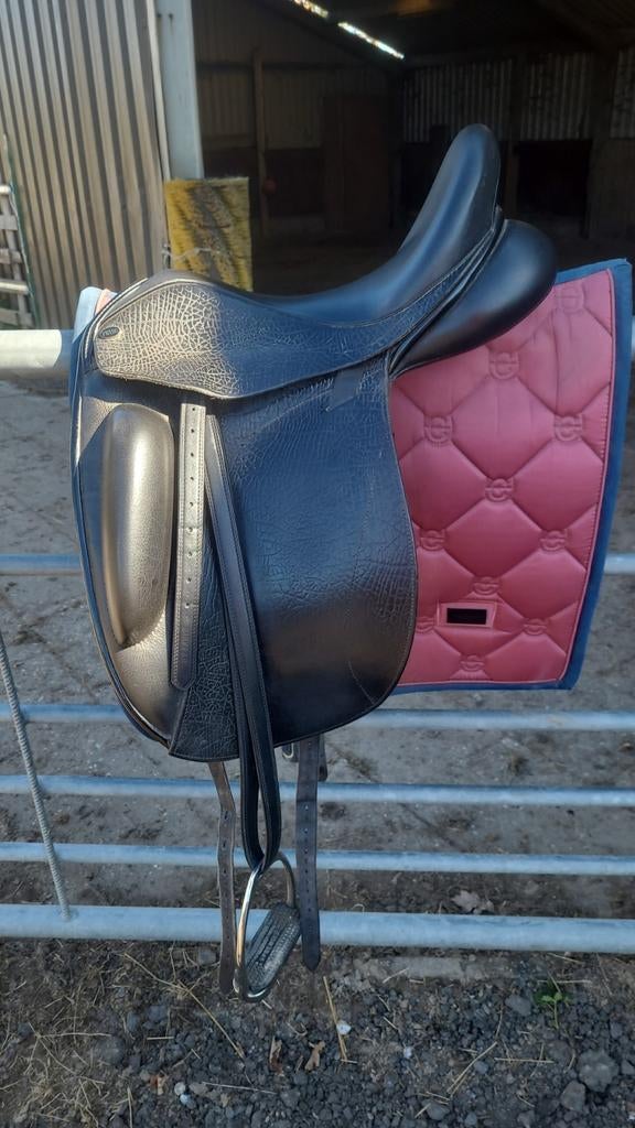 FRYSO COMFORT, Dieren en Toebehoren, Ophalen, Gebruikt, Dressuur