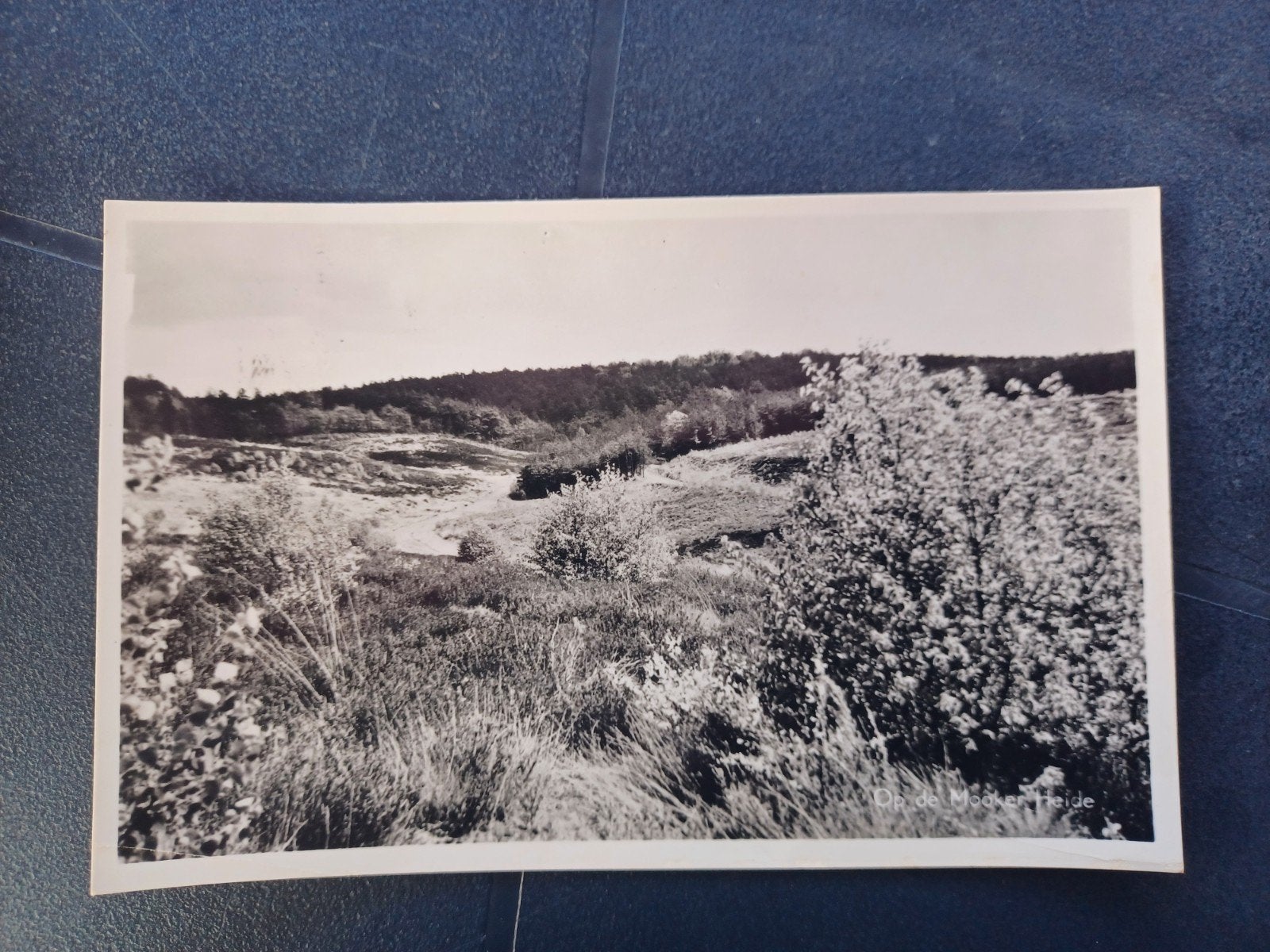 Mook Op de Mookerheide (Café Het Zwaantje) 1961, Ophalen of Verzenden, 1960 tot 1980, Gelopen, Limburg