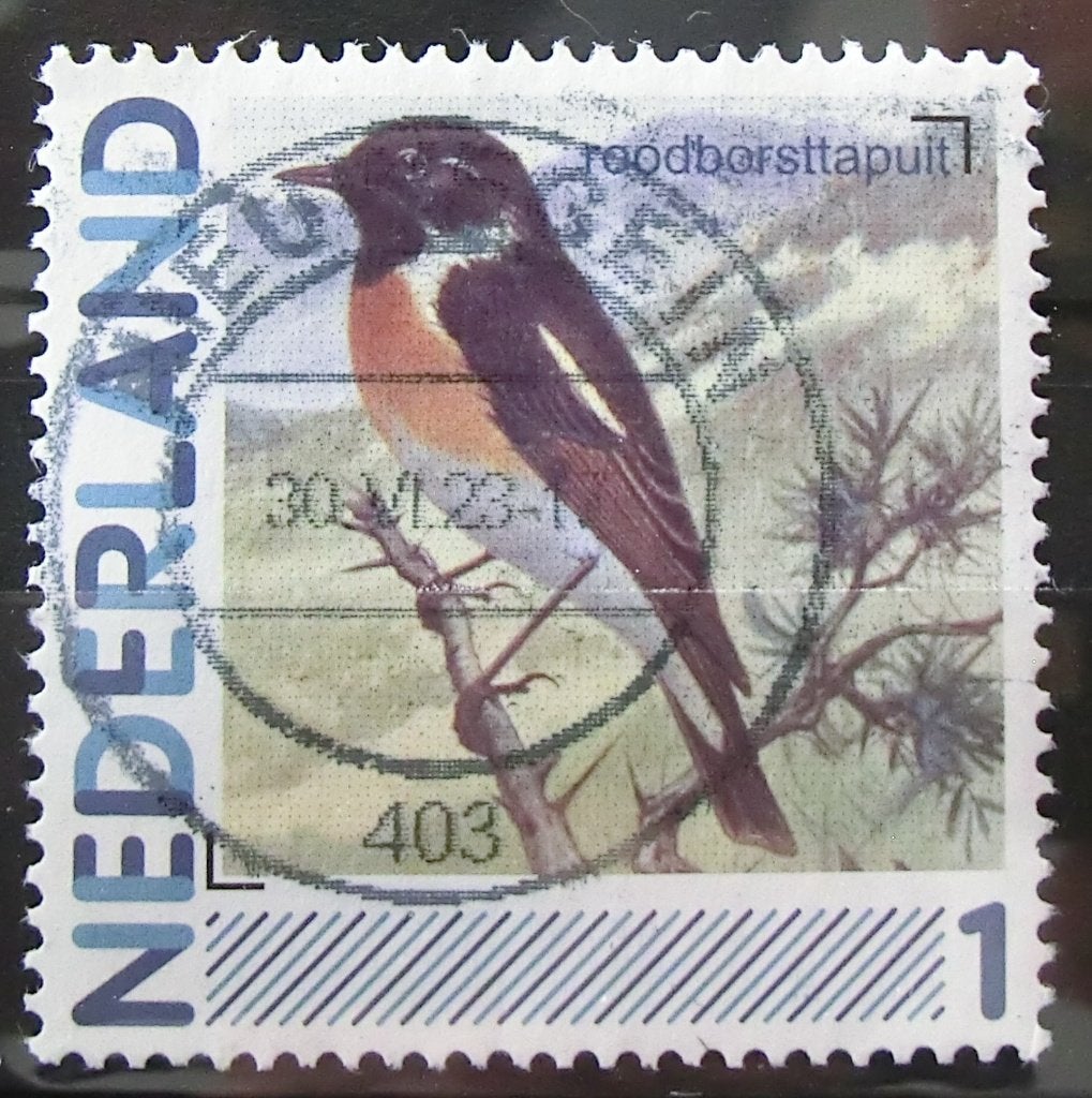 persoonlijke postzegel, Vogels, gest (lees aub), Ophalen of Verzenden, Na 1940, Gestempeld