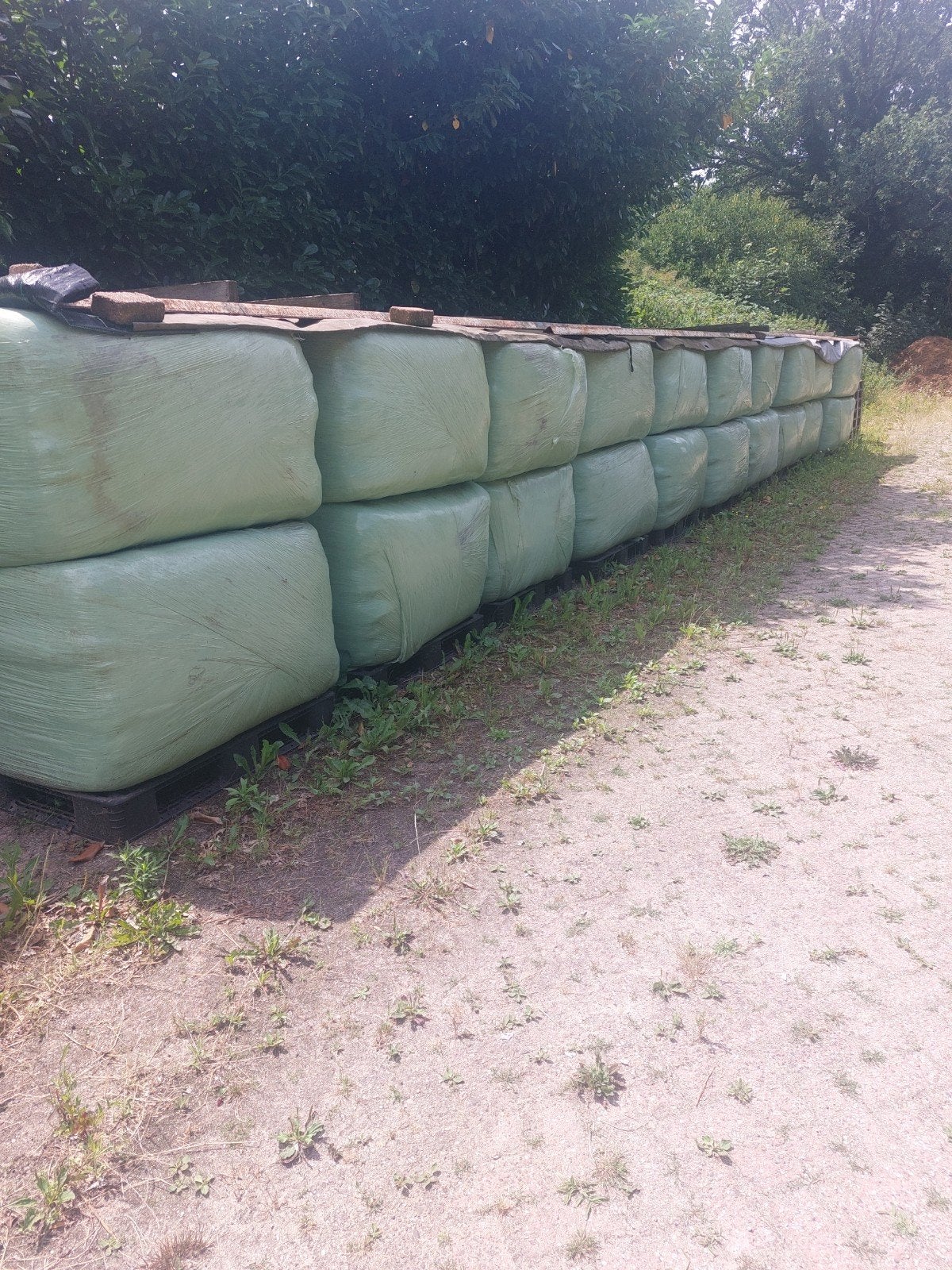 Te koop 10 pakken zeer mooi paardenhooi, Dieren en Toebehoren