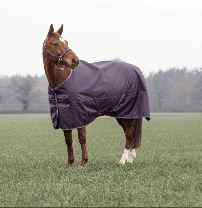 Shire Tempest Lite, Dieren en Toebehoren, Ophalen of Verzenden, Nieuw, Blauw