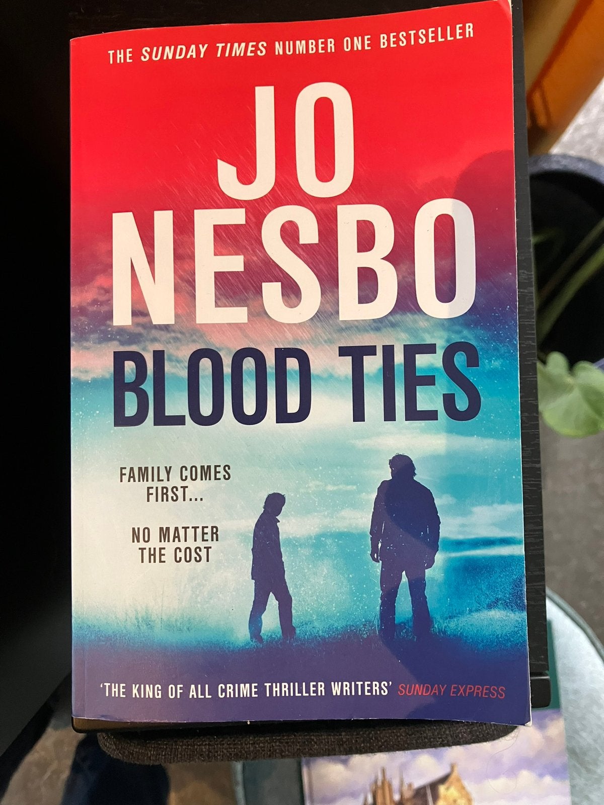 Blood Ties - Jo Nesbo, engelstalige pocket, Ophalen of Verzenden, Zo goed als nieuw