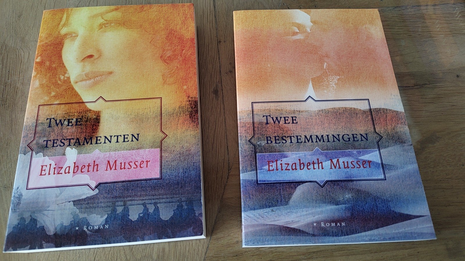Christelijke boeken: Twee Testamenten & Twee Bestemmingen, Ophalen of Verzenden, Zo goed als nieuw, Elizabeth Musser