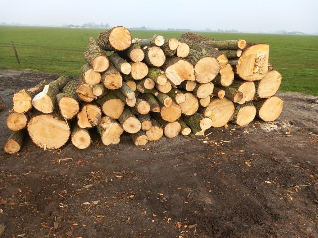 Stamhout brandhout rondhout openhaardhout kachelhout, Minder dan 3 m³, Ophalen