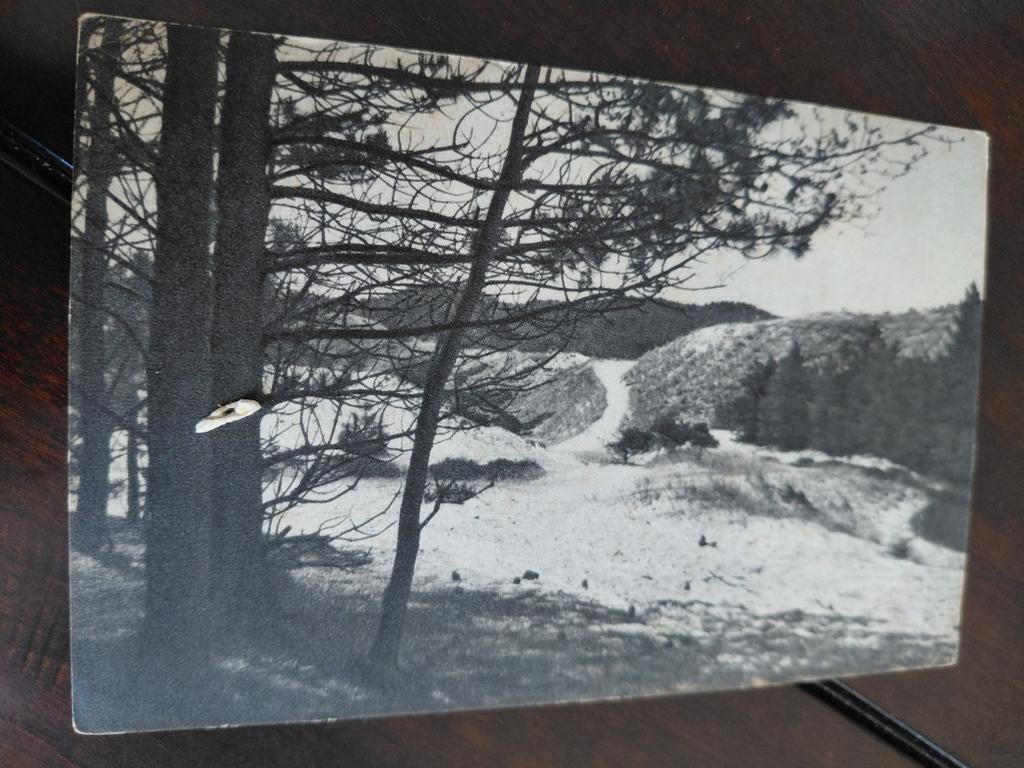 SCHOORL  IN DE DUINEN  1952, Ophalen of Verzenden, 1940 tot 1960, Noord-Holland