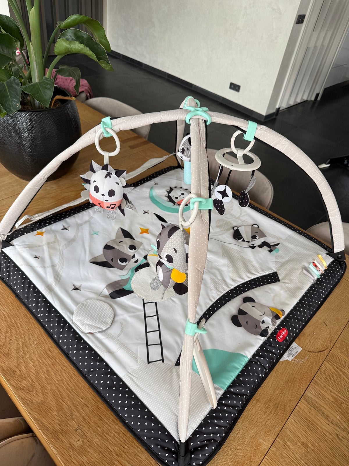 Tiny Love speelkleed met babygym, Kinderen en Baby's, Ophalen of Verzenden, Zo goed als nieuw