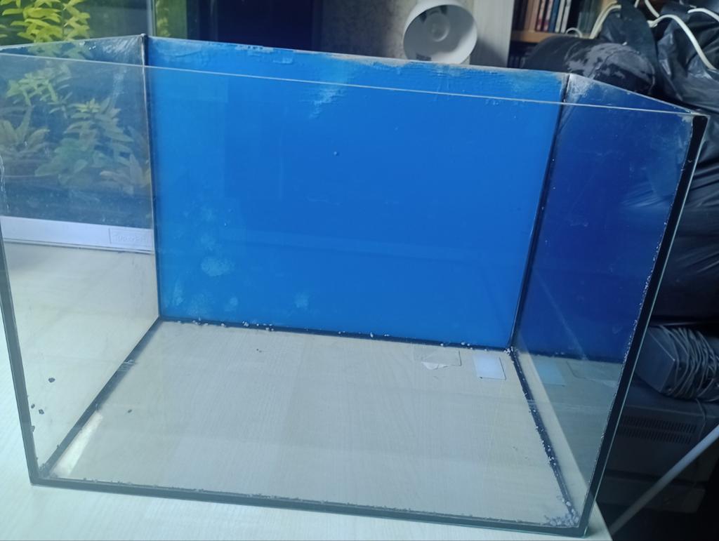 Aquarium bak gratis ophalen 30 cm, Vis