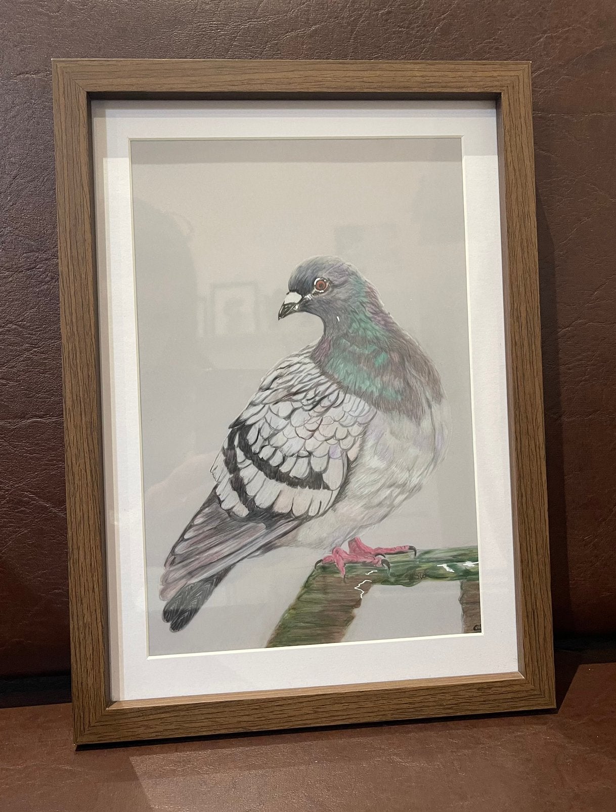Tekening Duif., Ophalen of Verzenden