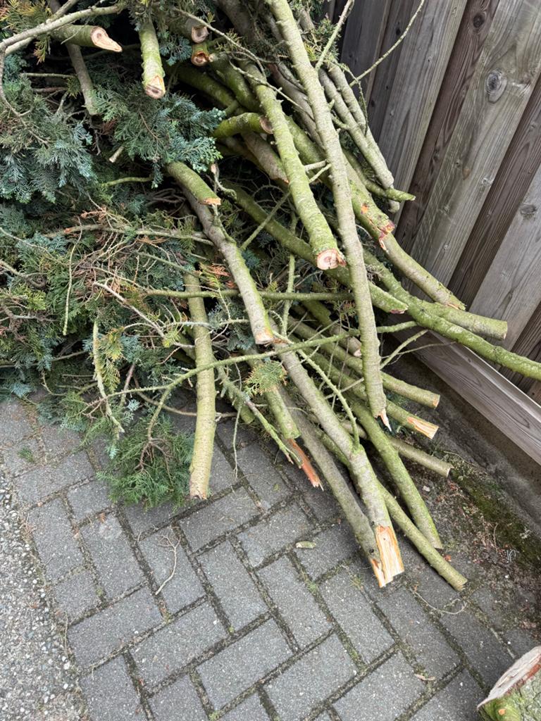 Afgezaagde boomstammen en takken, Ophalen, Overige soorten, 250 tot 400 cm