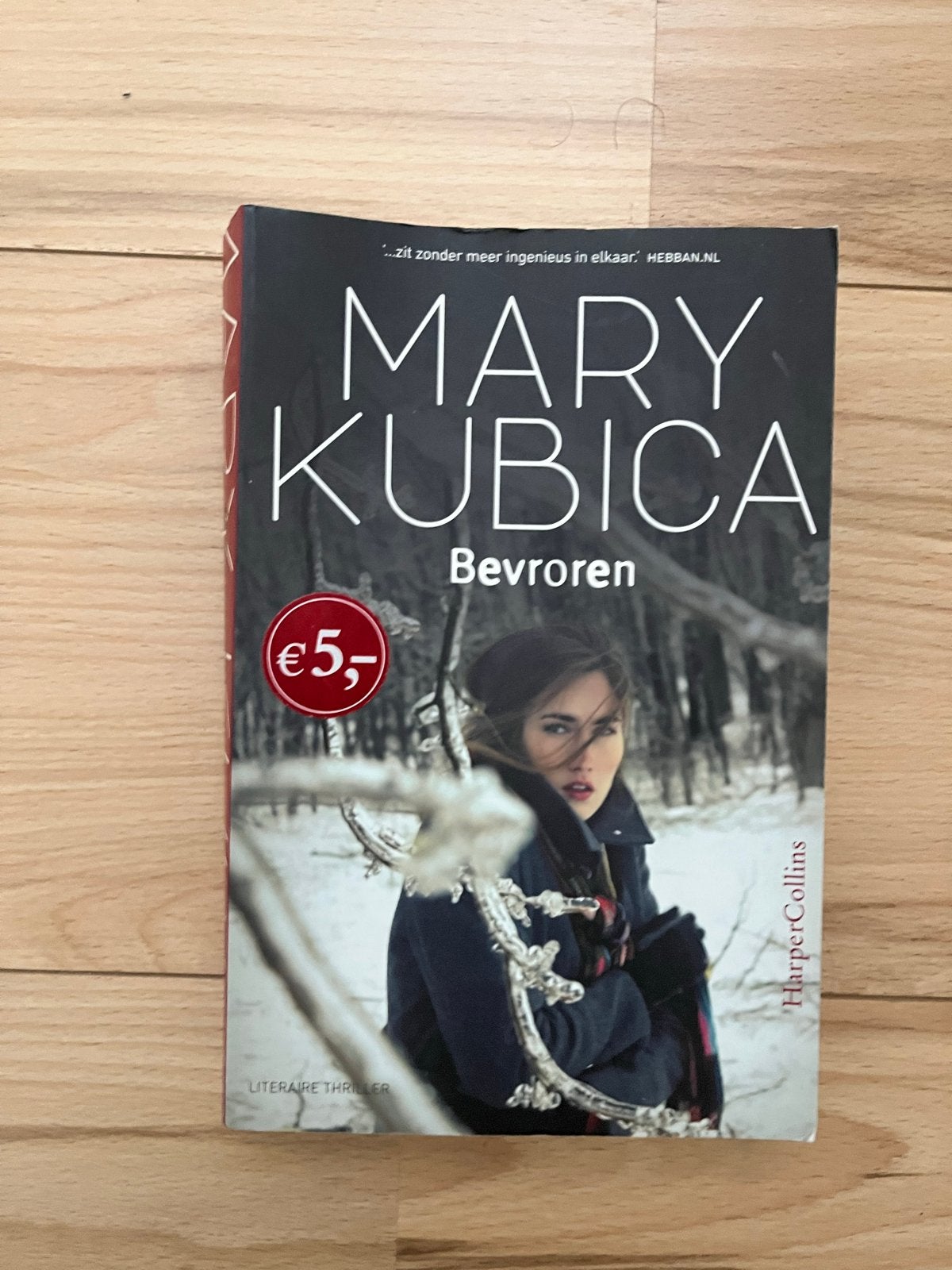 Mary Kubica - Bevroren (Literaire Thriller), Boeken, Ophalen of Verzenden, Gelezen, Nederland
