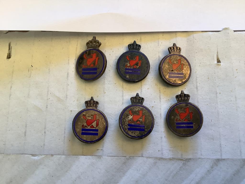 6 emaille speldjes Zeelandia, Ophalen of Verzenden, Gebruikt, Overige onderwerpen