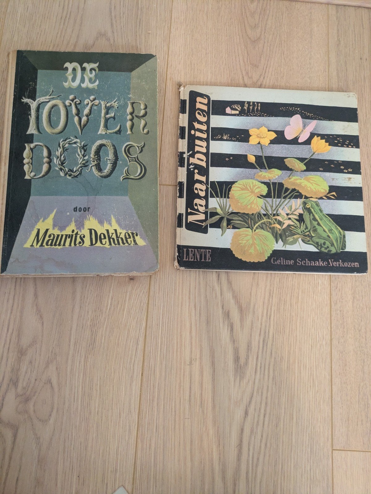2 Vintage Natuur- & Jeugdboeken: De Toverdoos & Naar Buiten, Boeken, Ophalen of Verzenden