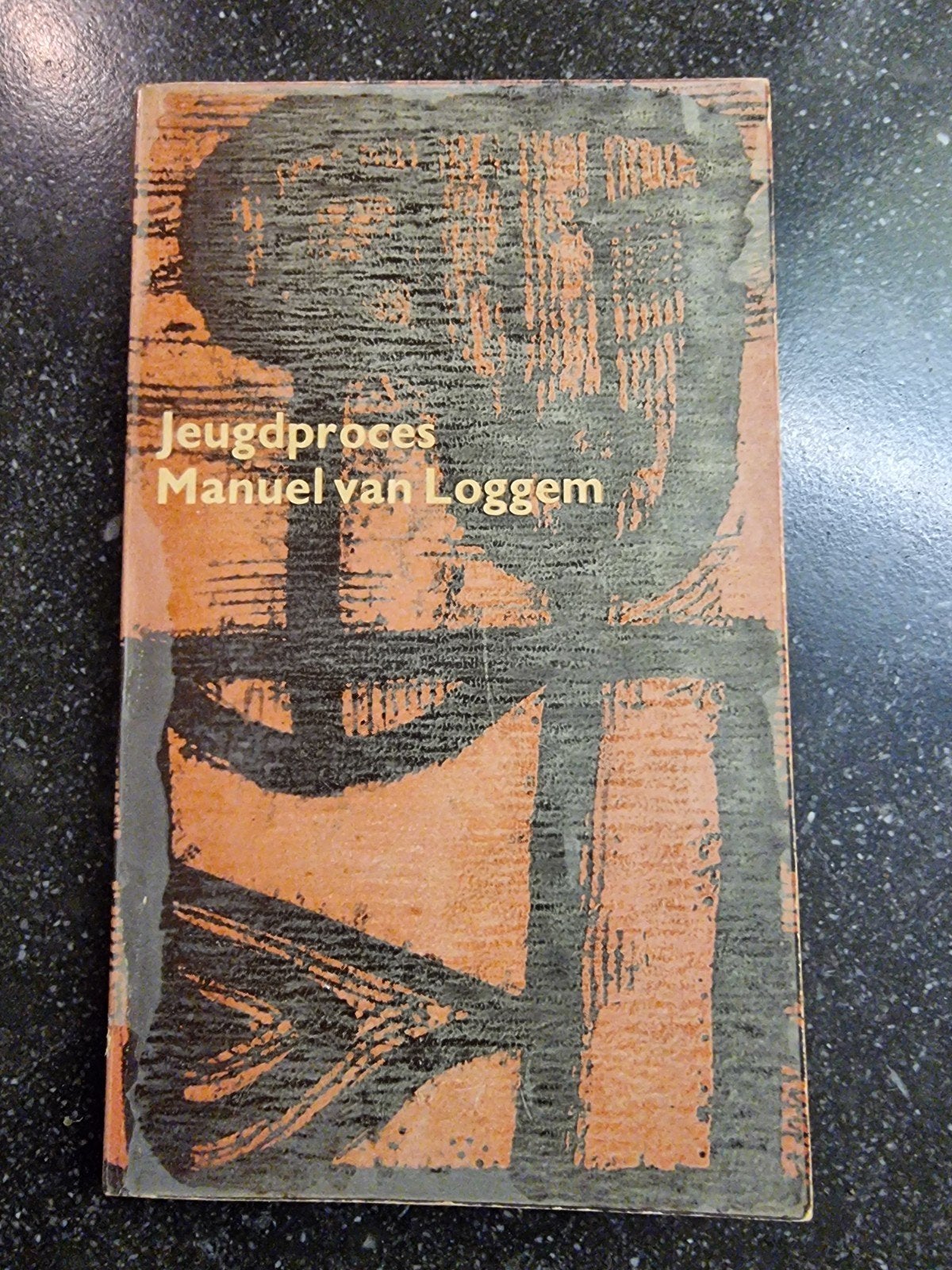Jeugdproces - Manuel van Loggem (1954), Boeken, Verzenden, Gelezen, Manuel van Loggem, Nederland
