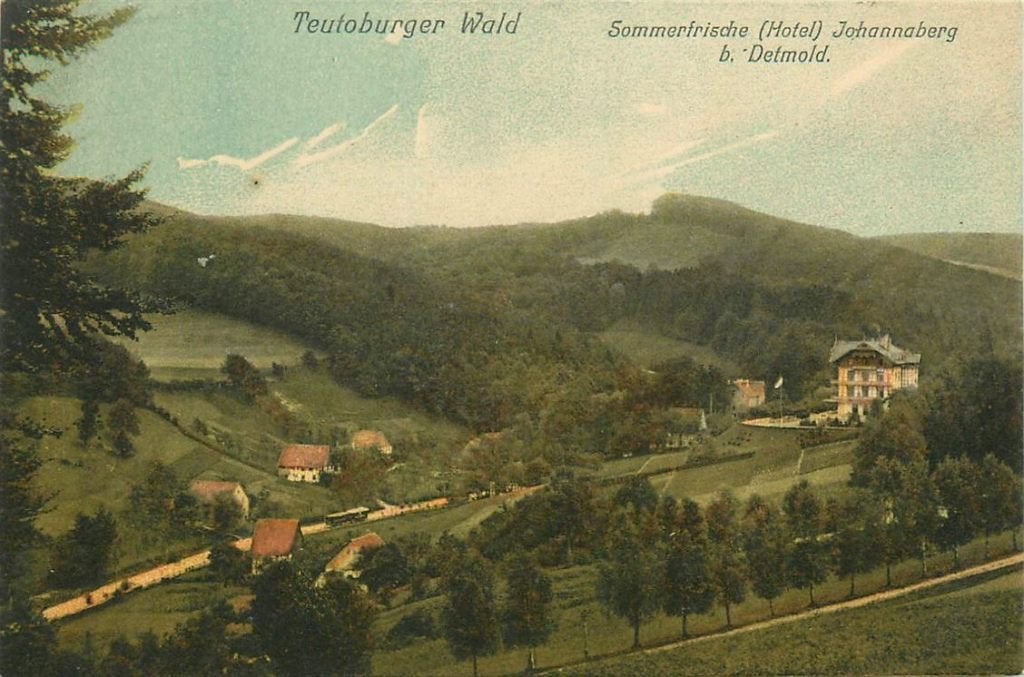 701-298-033 Detmold Hotel Johannaberg, Verzenden, Voor 1920, Duitsland